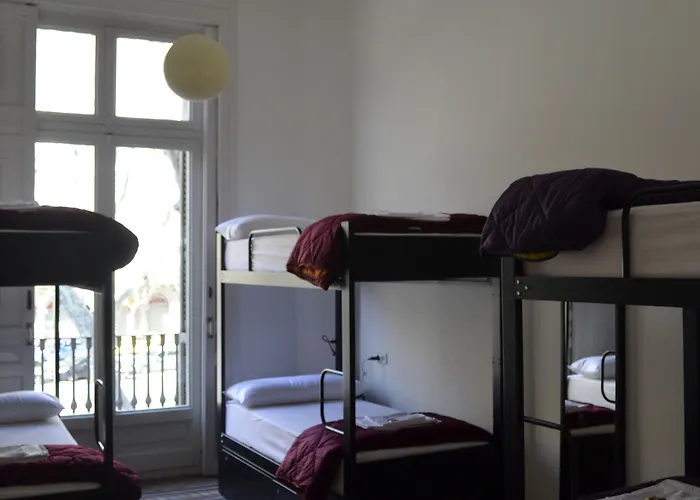 360 Borne 호스텔 *